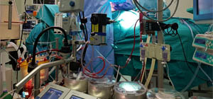 Información asistencial