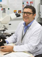 Enrique Lerma Puertas