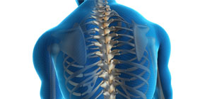 Información asistencial