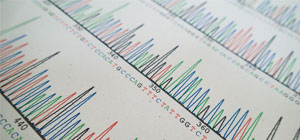 Información asistencial