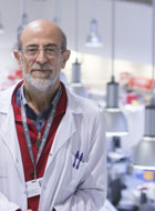 Cándido Juárez Rubio