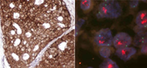 Informació assistencial