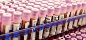 Certificación de Calidad