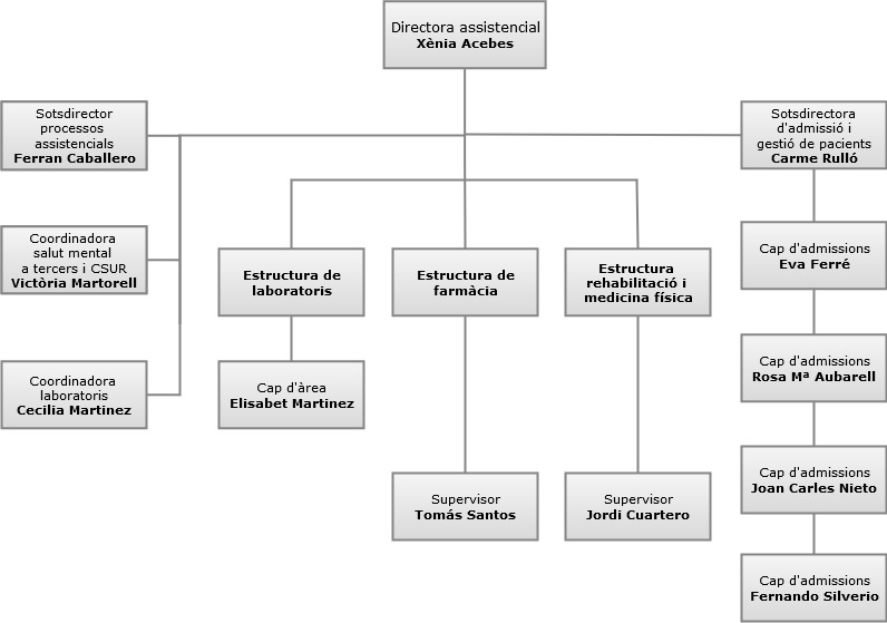 Organigrama direcció assistencial